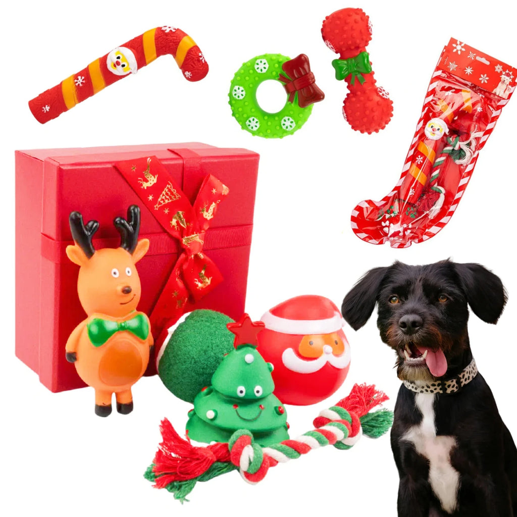 Wholesale Christmas Pet Accessories Customized Dog Gift Squeak Toys Multi-Pack with Unique Packaging