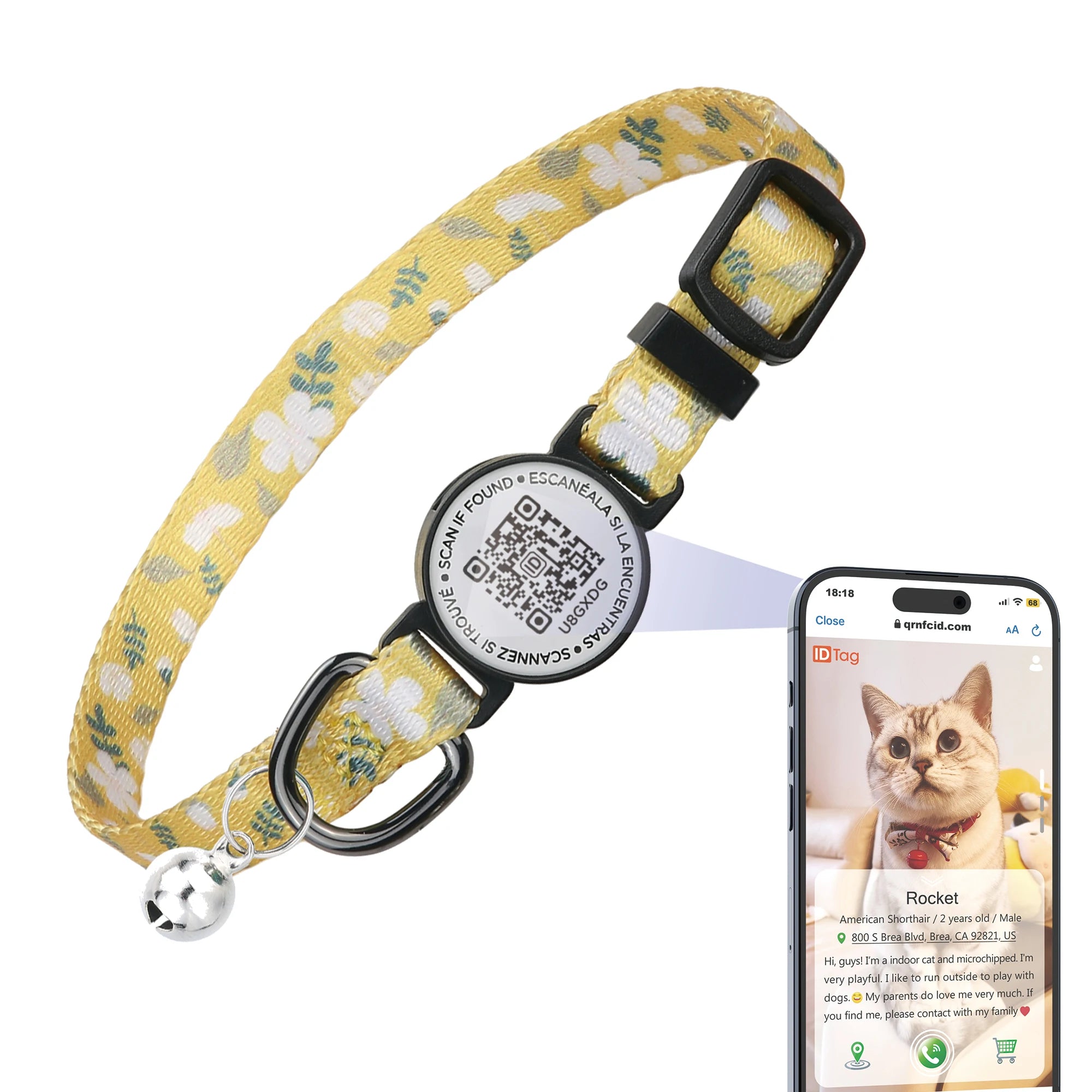 Software Ready Wholesale Custom Fashion Adjustable Breakaway Cute Modern Pet Cat Neck Collar Belt Luxury With Bell