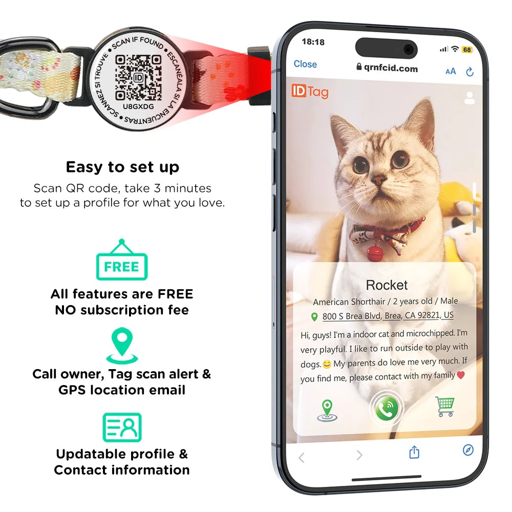 Software Ready Wholesale Custom Fashion Adjustable Breakaway Cute Modern Pet Cat Neck Collar Belt Luxury With Bell