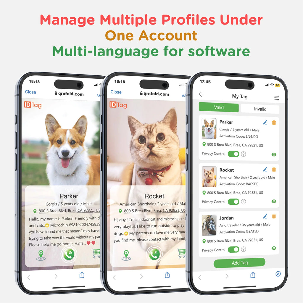 Software Ready Wholesale Custom Fashion Adjustable Breakaway Cute Modern Pet Cat Neck Collar Belt Luxury With Bell