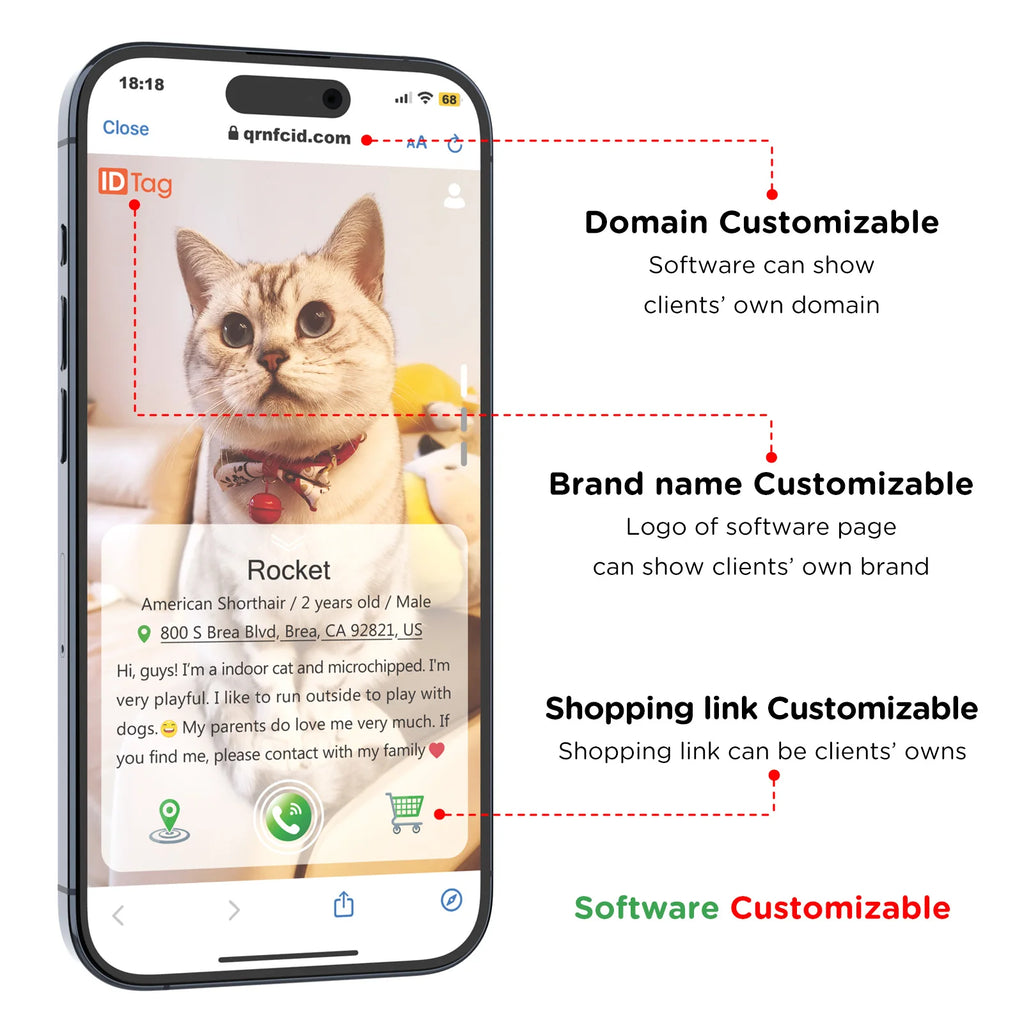 Software Ready Wholesale Custom Fashion Adjustable Breakaway Cute Modern Pet Cat Neck Collar Belt Luxury With Bell